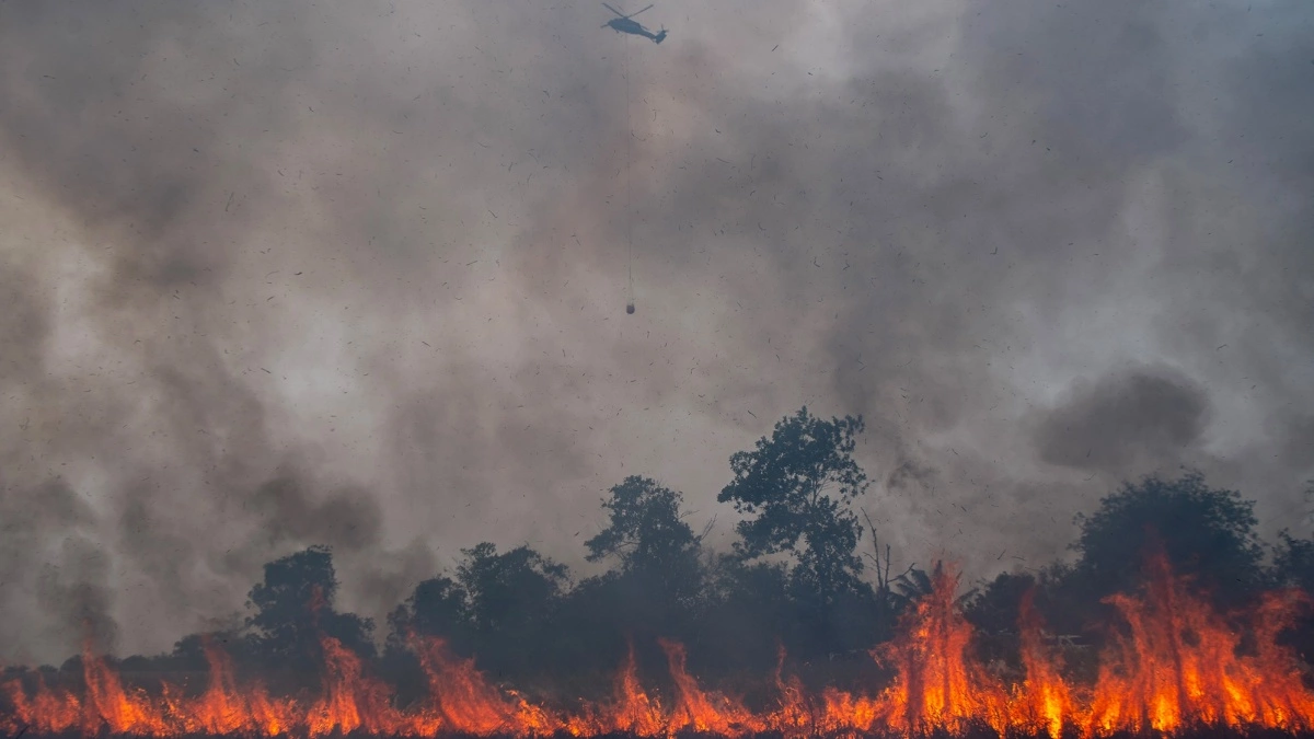 Kalimantan Tengah Jadi Fokus Utama Penanganan Kebakaran Hutan dan Lahan