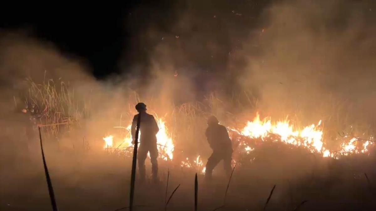 Lebih dari 3 Juta Warga Indonesia Terkena Dampak Asap Kebakaran Hutan, Segera Periksa Kesehatan Jika Mengalami Gejala
