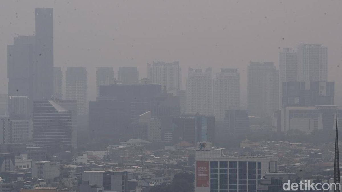 Asap Kebakaran Hutan Masuk ke Jakarta, BMKG Berikan Peringatan