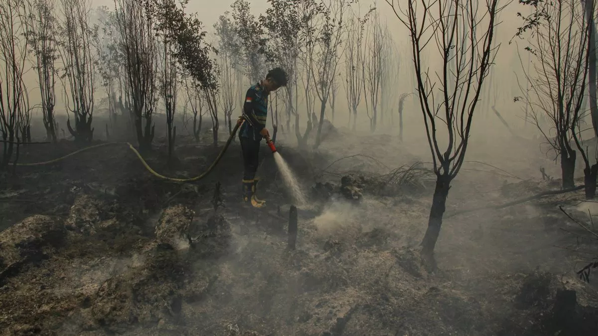 Polri Lakukan Penyelidikan Terhadap Kebakaran Hutan di Kalimantan Timur dan Kalimantan Tengah
