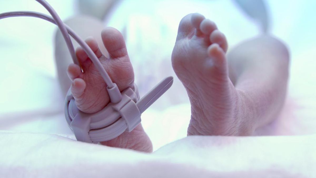 Tragedi Bayi 24 Hari: Bahaya Pemberian Makanan Sebelum Usia 6 Bulan