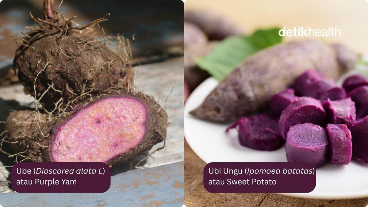 Perbedaan ube dan ubi ungu. Foto: iStock