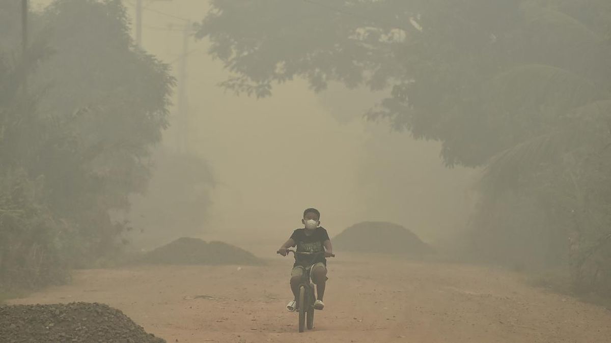 Waktu Pemulihan Tubuh Setelah Terpapar Asap Kebakaran Hutan