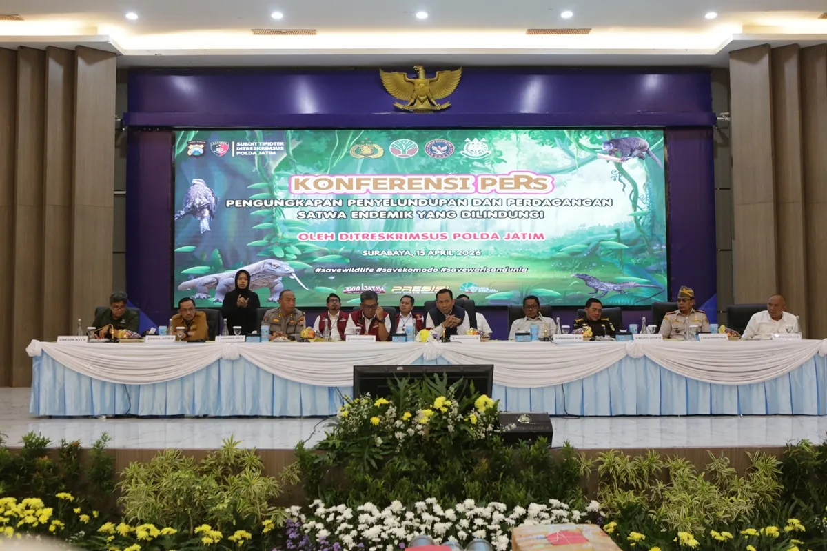 Pengungkapan Jaringan Perdagangan Ikan Komodo Ilegal oleh Polda Jatim