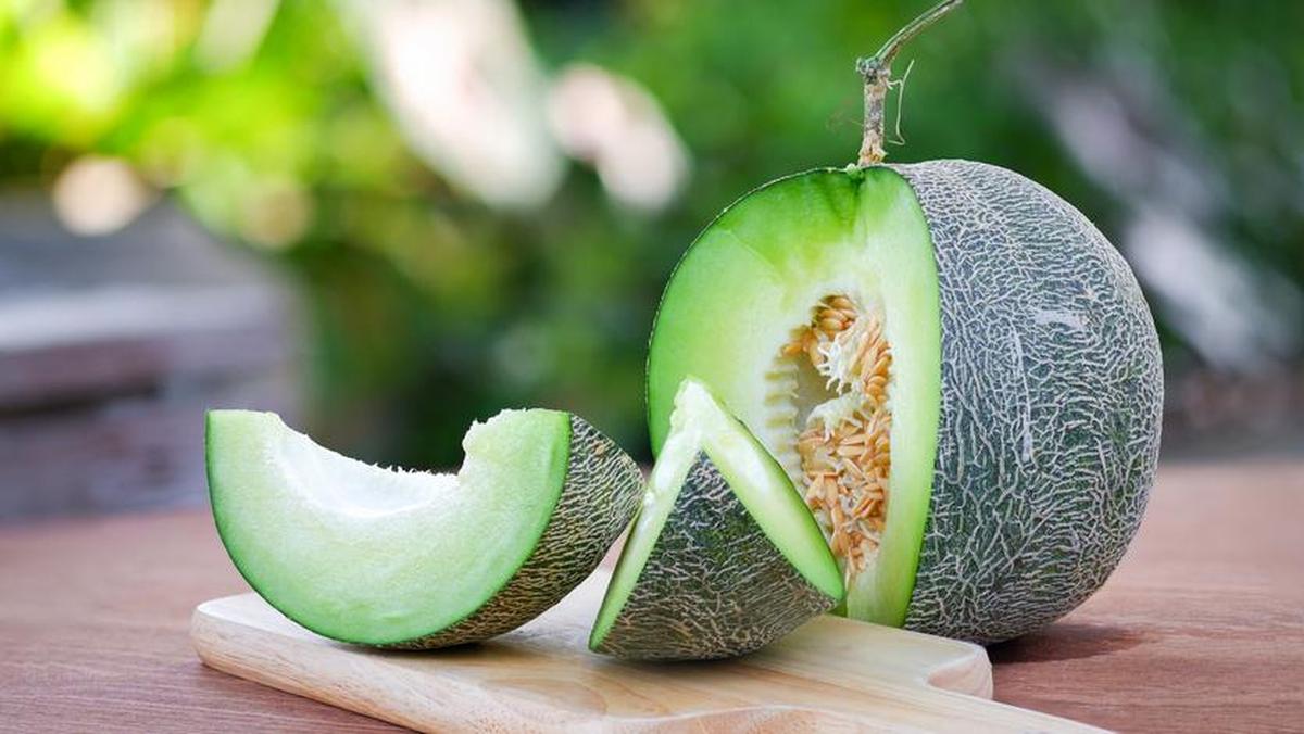 Tips Memilih Melon yang Manis dan Segar untuk Dikonsumsi