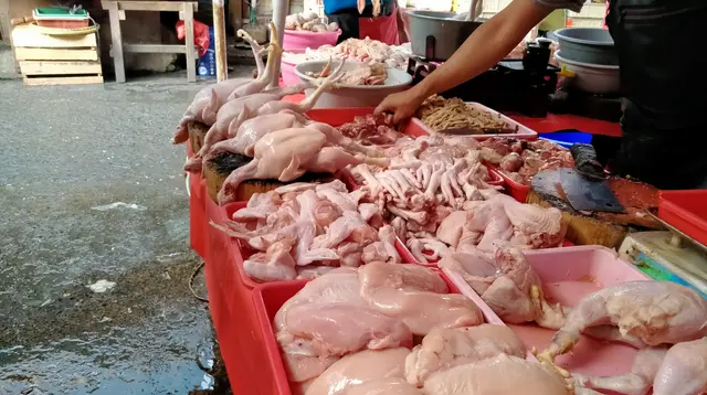---
Kenaikan Harga Ayam Capai Rp 50.000 per Kg, Ukuran Daging Kian Kecil

---
