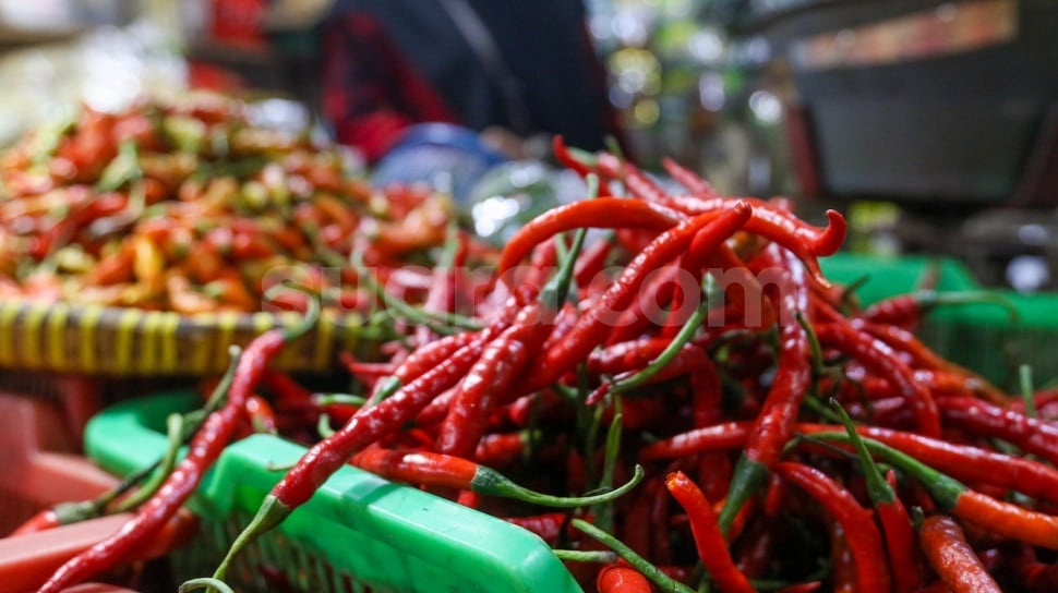 Penurunan Harga Cabai Merah Keriting dan Kenaikan Daging Sapi di Pasar Tradisional