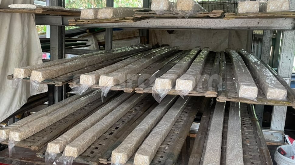 Harga kedelai impor yang menjadi bahan baku utama tempe terus naik. Foto Esther Nadya-Suara.com