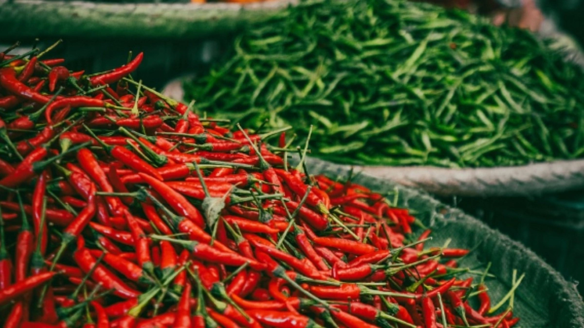 Harga Cabai Rawit Merah Turun Signifikan, Kini Tersedia di Rp83.550 per Kg