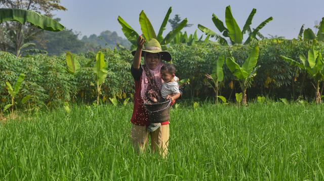 Harga Pupuk Subsidi Dipastikan Tetap, Meski Gejolak Selat Hormuz