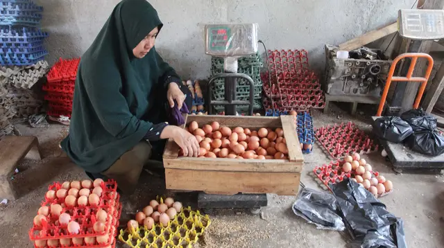 Kenaikan Harga Telur Dipicu Kembali Beroperasinya Dapur MBG