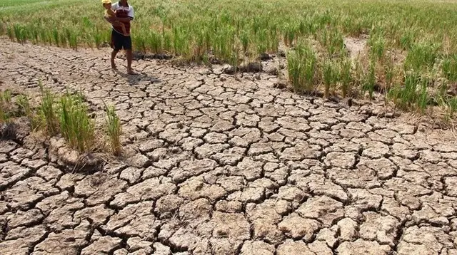 Indonesia Masuk Dalam Daftar Negara Rentan Terhadap Ancaman Super El Niño