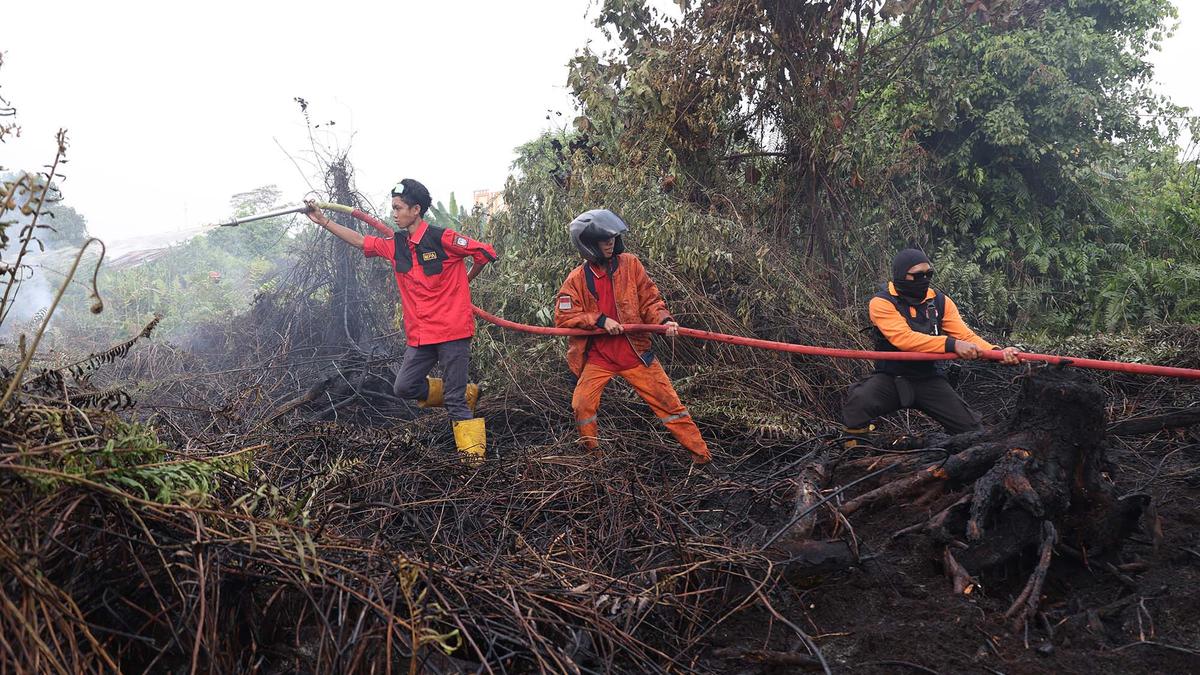 Dampak Kebakaran Hutan dan Lahan: Tindakan Tegas dari Pemerintah