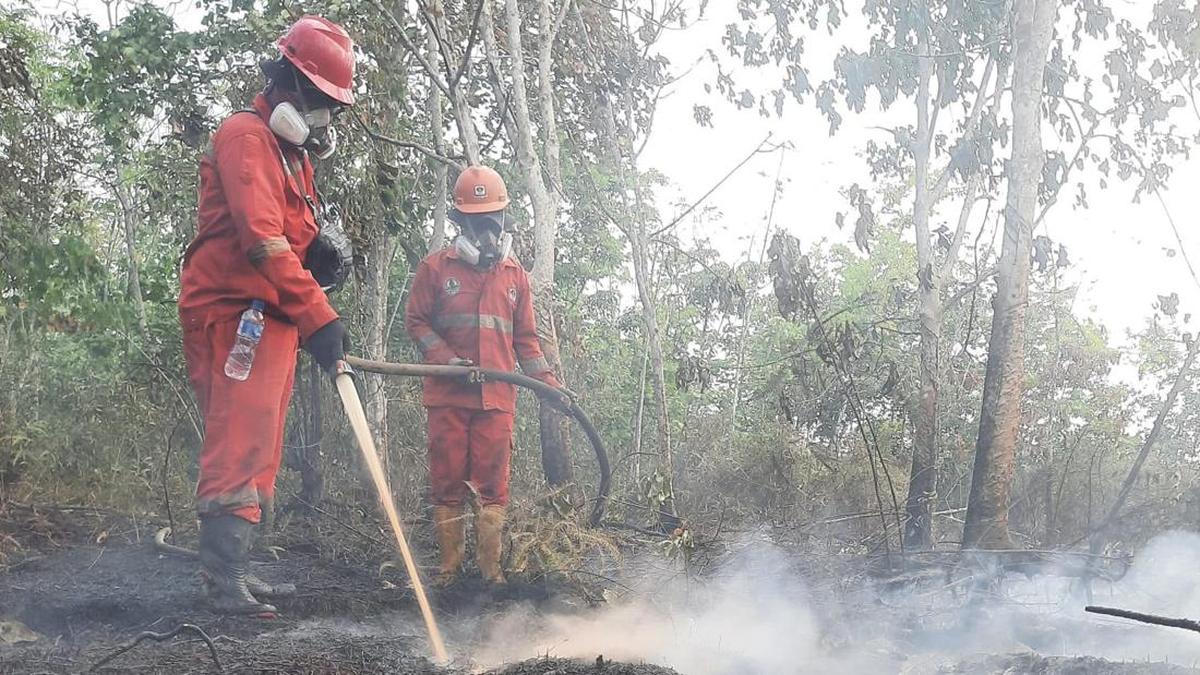 Kalimantan Tengah Menghadapi 66 Ribu Kasus ISPA Akibat Kebakaran Hutan