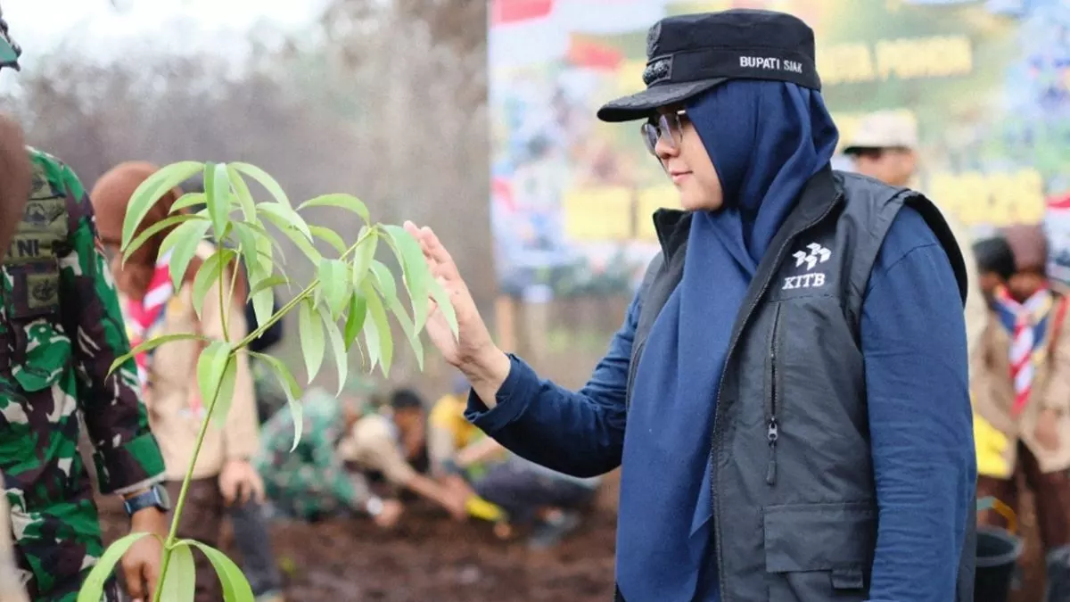 Bupati Siak Kecewa Video Penanaman Pohon di TikTok Dihapus