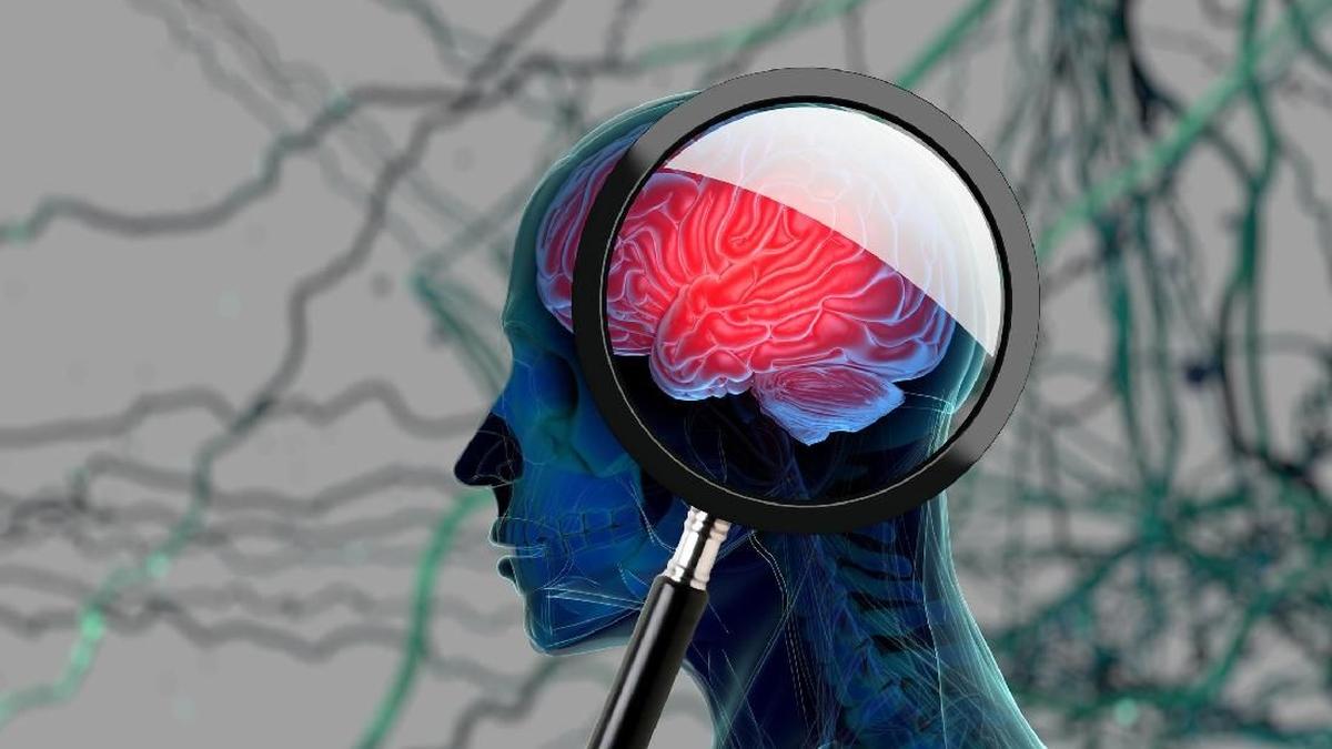 Pola Makan Sehat yang Dapat Menurunkan Risiko Demensia dan Menjaga Berat Badan Ideal