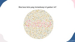 Uji Ketajaman Visual: Tantangan Buta Warna Dalam 30 Detik