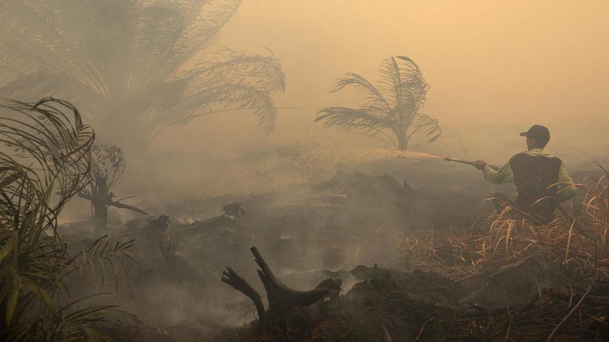 Kualitas Udara di Sepuluh Daerah Terpengaruh Kebakaran Hutan, Beberapa Masuk Kategori Berbahaya