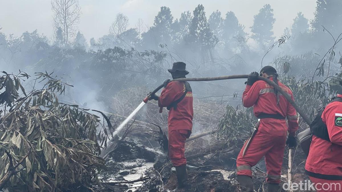 Foto: Khairun Nisa/detikKalimantan