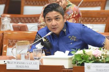 Ajakan Pasha untuk Menjaga Etika Demokrasi di Indonesia