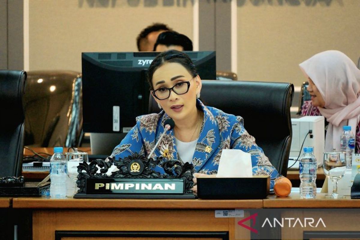 Kerja Sama Pertahanan Indonesia dan Jepang Diharapkan Perkuat Stabilitas Kawasan