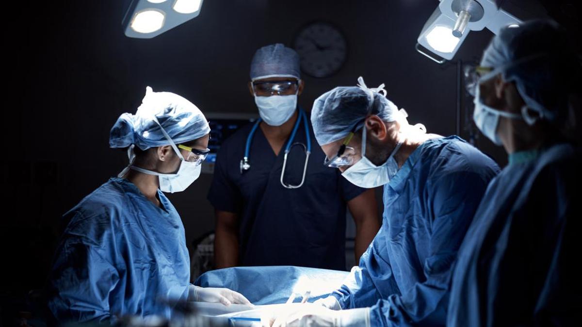 Organ-Organ yang Bisa Dihilangkan Tanpa Mengganggu Kehidupan Manusia