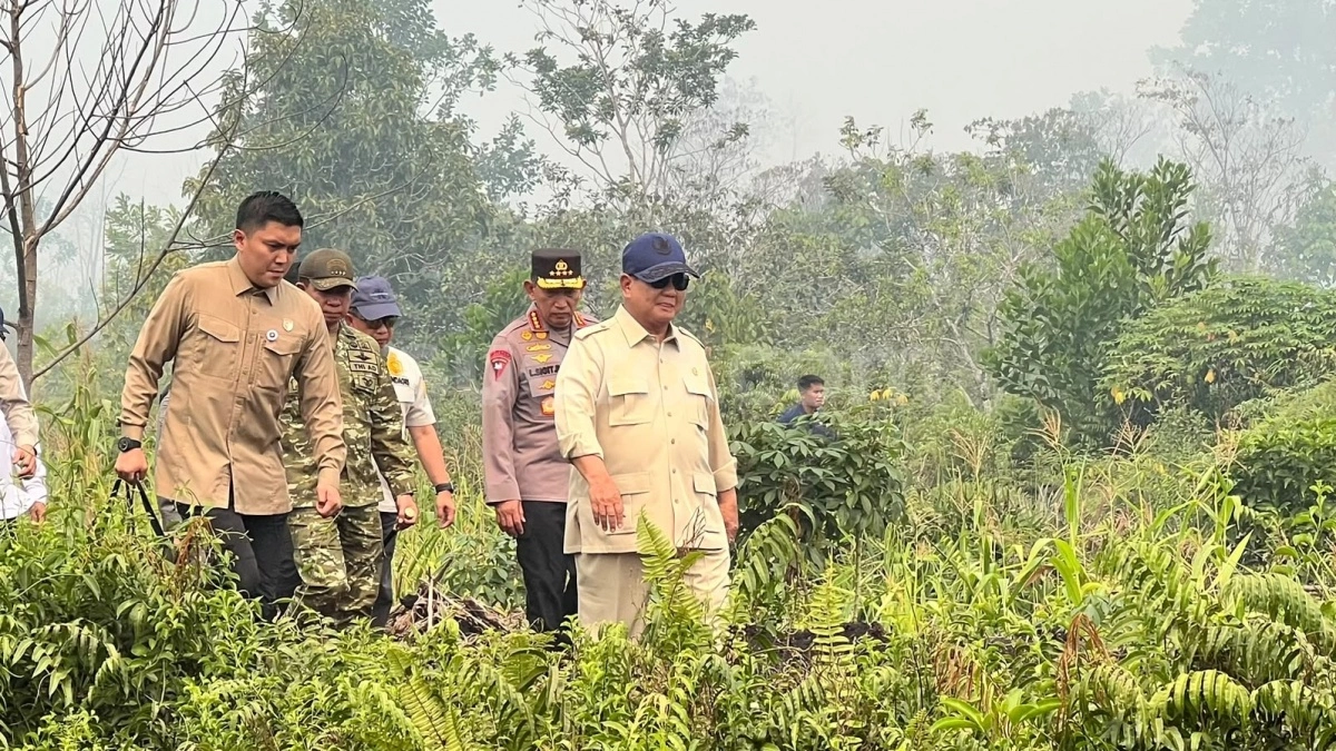 Menggugah Ingatan Prabowo 2015: Kebakaran Hutan dan Status Bencana Nasional yang Tak Kunjung Ditetapkan