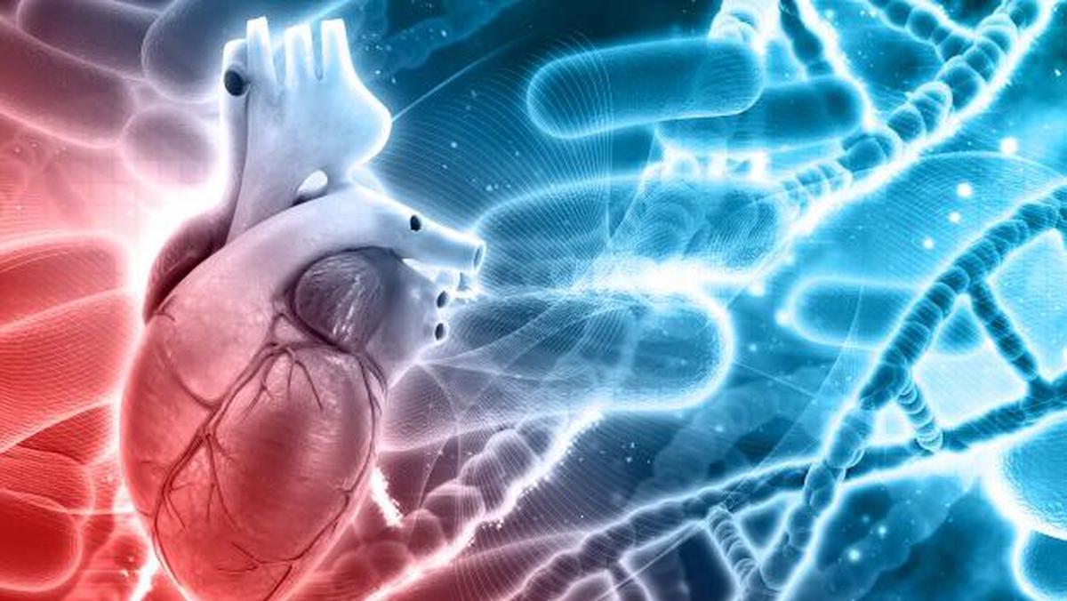 Apakah GERD Dapat Menyebabkan Serangan Jantung? Simak Penjelasan Dokter