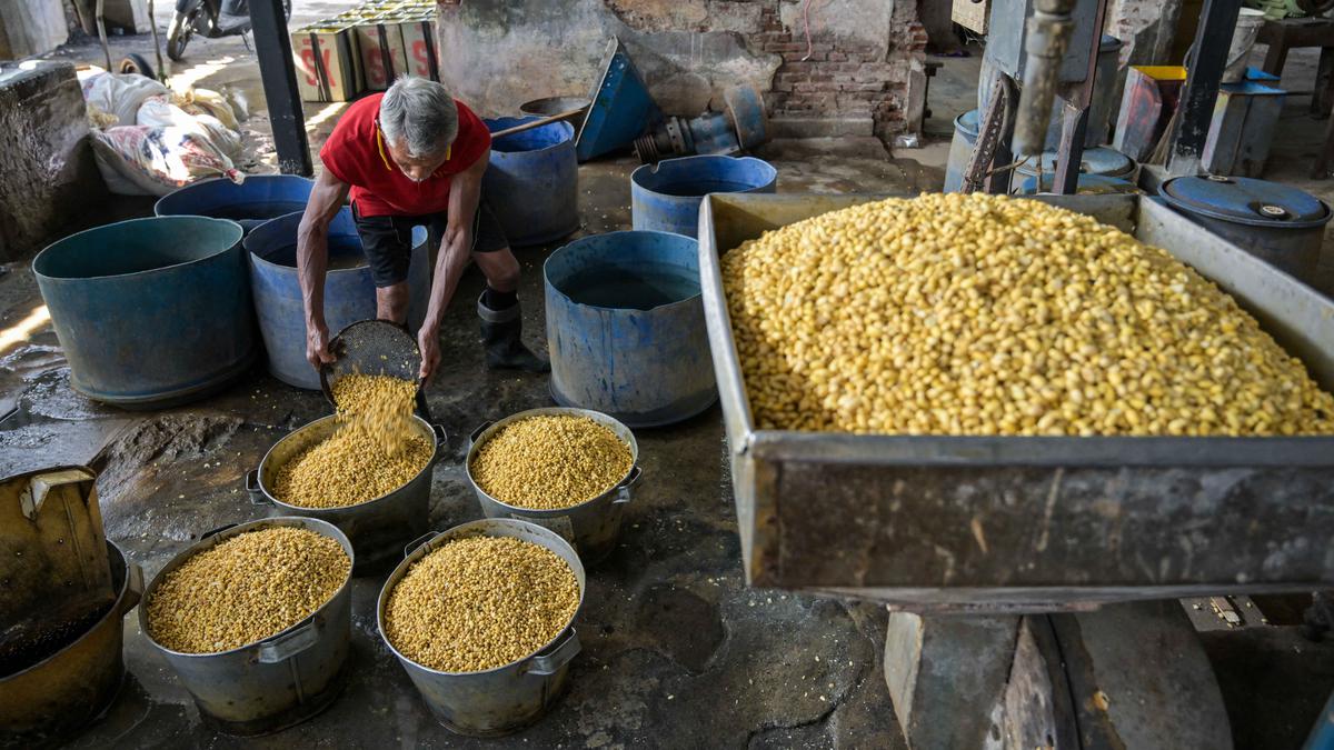Tantangan Perajin Tahu dan Tempe: Selain Kedelai, Biaya Produksi Tertekan oleh Harga Minyak dan Plastik