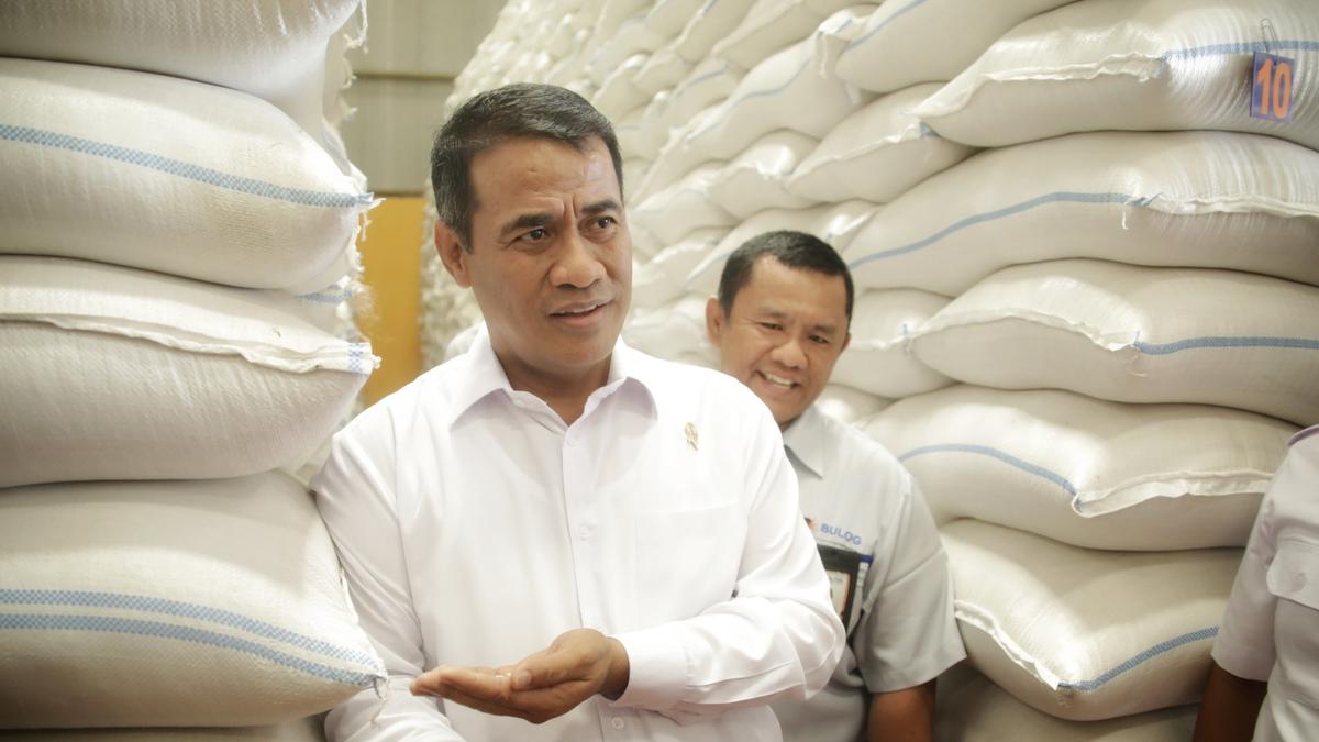 Pemerintah Pastikan Stok Beras Aman, Amran Ingatkan Pedagang untuk Tidak Main Harga