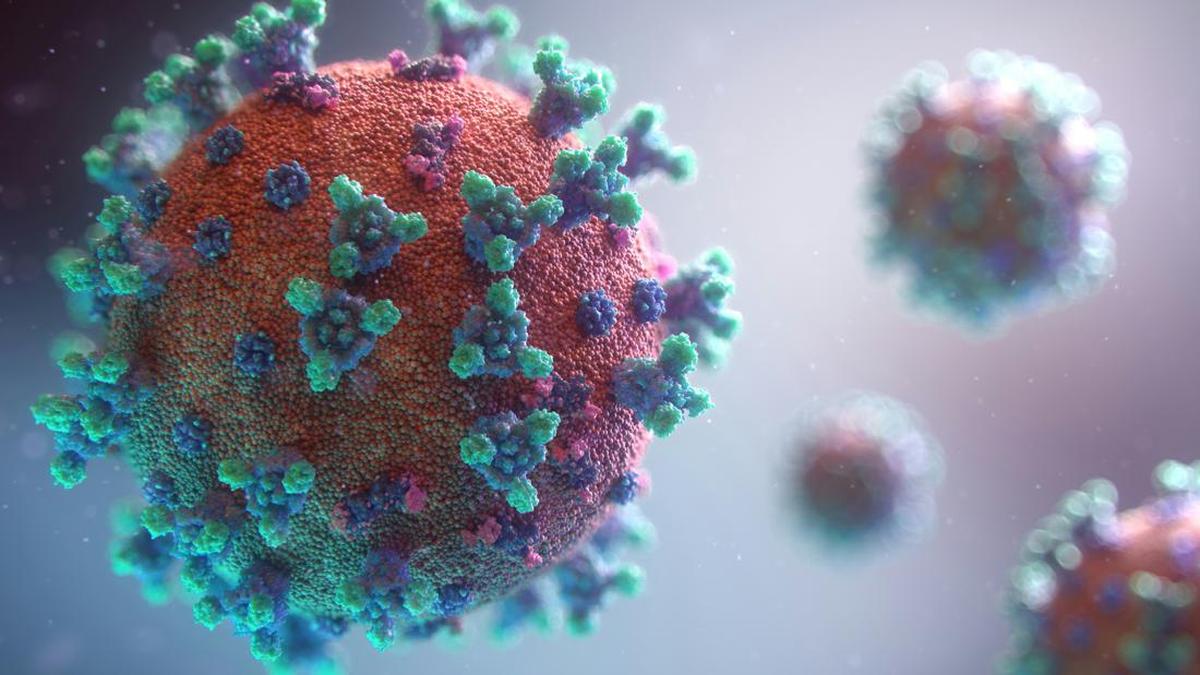Lonjakan Kasus Suspek Ebola di RD Kongo, 136 Meninggal Dunia
