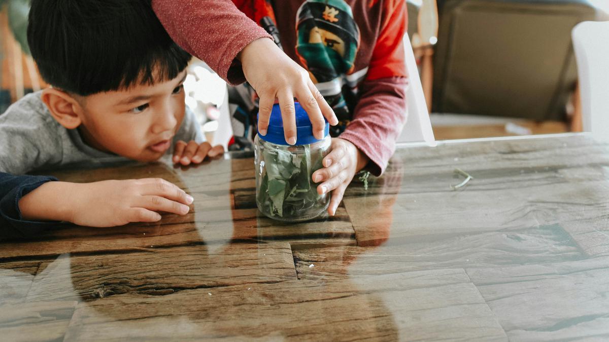 Strategi Keuangan untuk Membangun Tabungan dan Investasi Anak Generasi Alpha