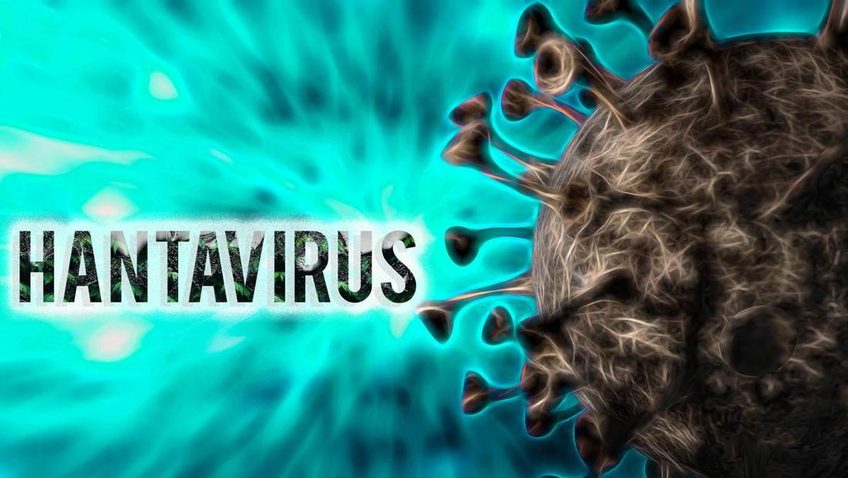 Turis Prancis-Argentina Terinfeksi Hantavirus, Kini Diisolasi di Spanyol