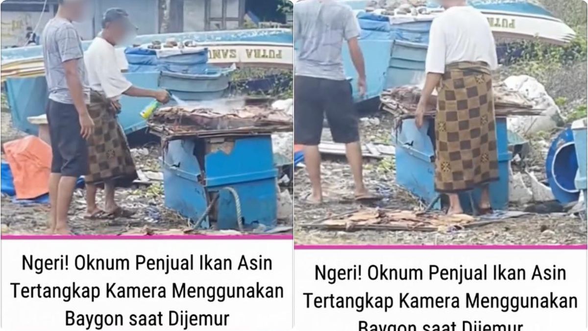 Kontroversi Penyemprotan Baygon pada Ikan Asin, BPOM Ambil Tindakan