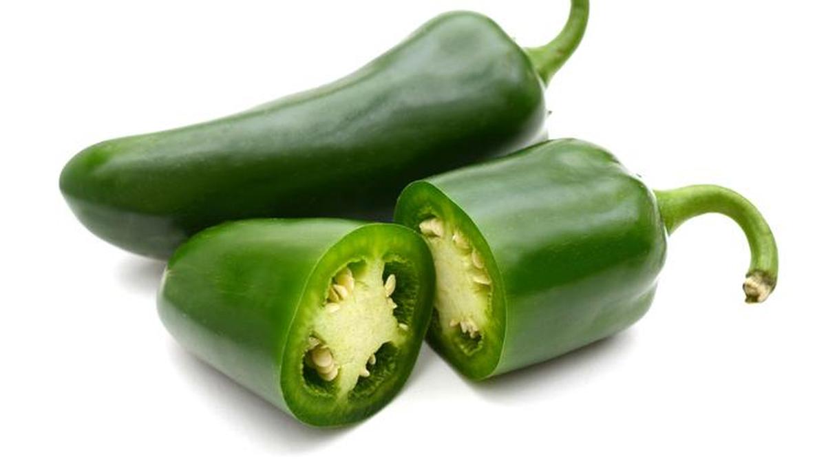 Wabah Salmonella Terkait Cabai Jalapeno Menyerang Ratusan Warga AS