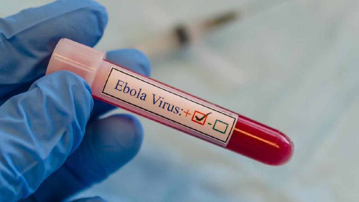 Wabah Ebola Kembali Muncul di Kongo, 65 Orang Meninggal Dunia