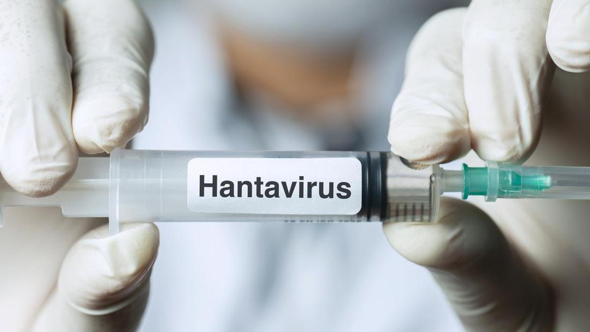 Kementerian Kesehatan Siapkan Skrining Gejala Hantavirus bagi Pelaku Perjalanan Internasional
