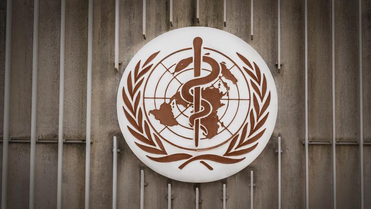 WHO Umumkan Darurat Global untuk Wabah Ebola, Kemenkes Ingatkan Masyarakat Soal Makanan