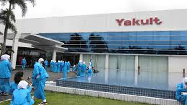 Peluang Karir Menarik di Yakult, Dibuka untuk Lulusan SMA dan S1
